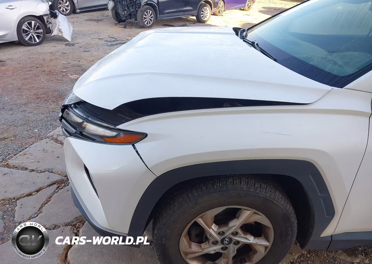 2022 Hyundai Tucson Sel VIN:5NMJB3AE5NH081532 - 17