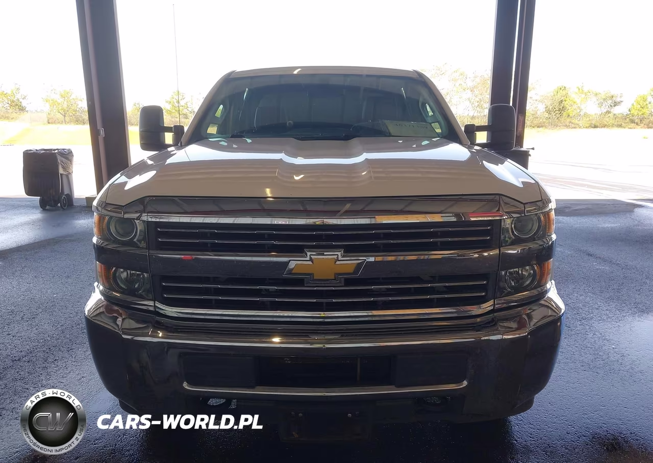2017 Chevrolet Silverado 3500Hd Wt VIN:1GC4KYCG3HF191232 - 17