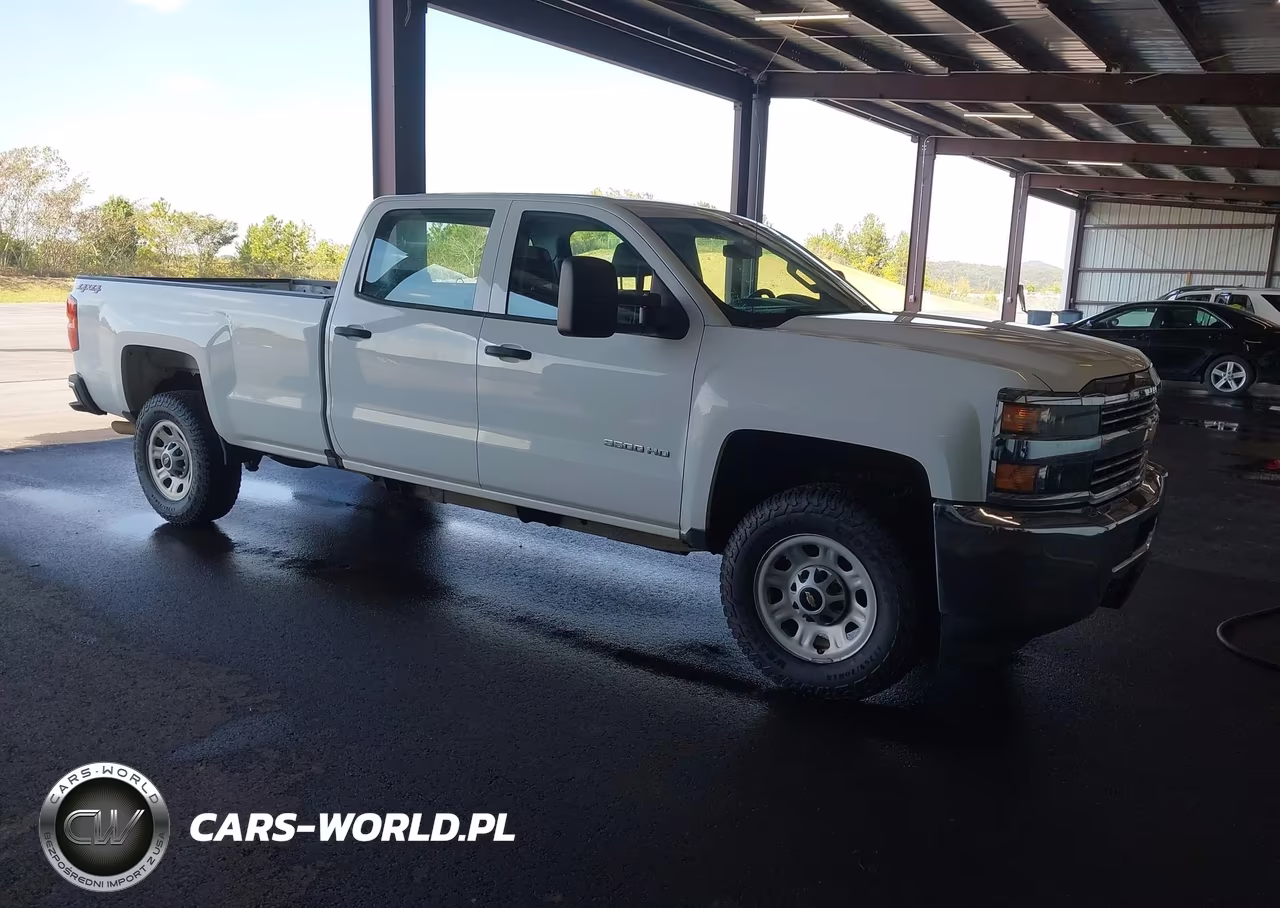 2018 Chevrolet Silverado 3500Hd Wt VIN:1GC4KYCG0JF276793 - 1