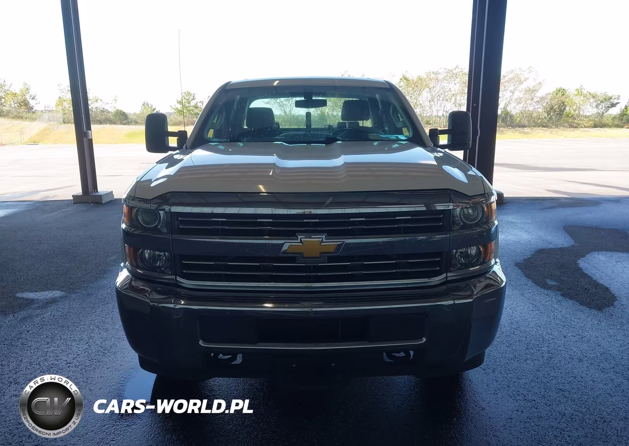 2018 Chevrolet Silverado 3500Hd Wt VIN:1GC4KYCG0JF276793 - 17