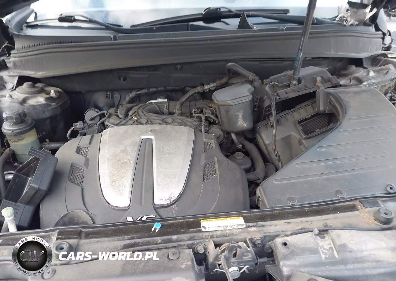 2010 Hyundai Santa Fe Se VIN:5NMSHDAG4AH409219 - 10