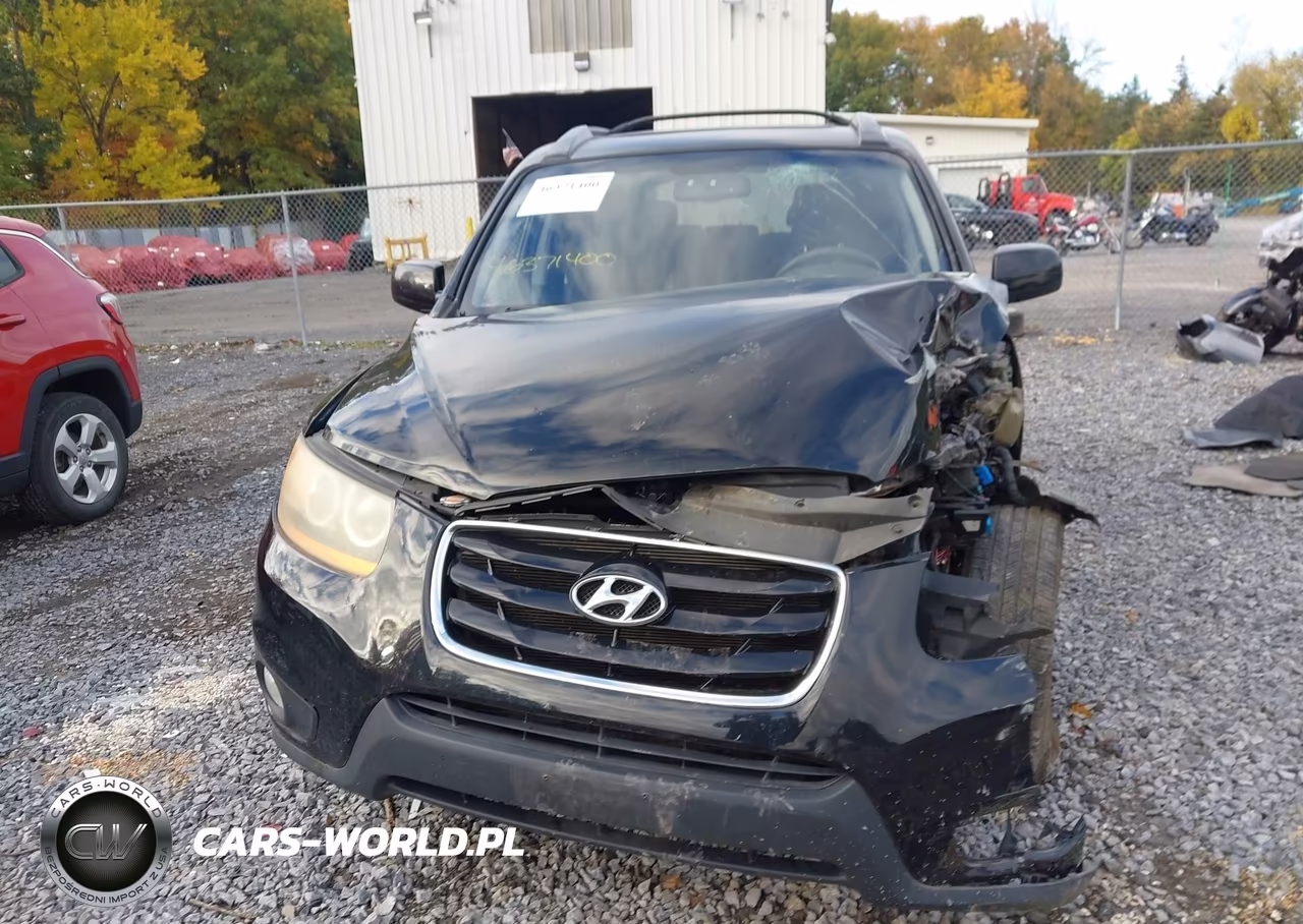 2010 Hyundai Santa Fe Se VIN:5NMSHDAG4AH409219 - 12