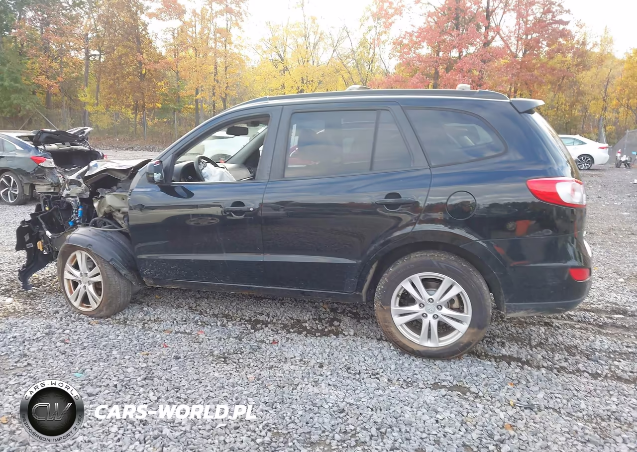 2010 Hyundai Santa Fe Se VIN:5NMSHDAG4AH409219 - 14