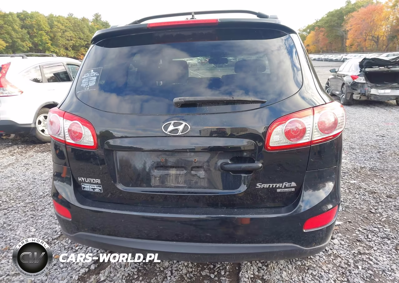2010 Hyundai Santa Fe Se VIN:5NMSHDAG4AH409219 - 16
