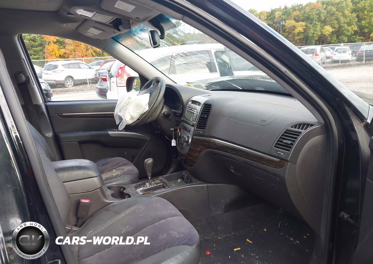 2010 Hyundai Santa Fe Se VIN:5NMSHDAG4AH409219 - 5
