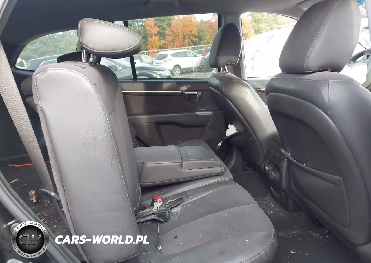 2010 Hyundai Santa Fe Se VIN:5NMSHDAG4AH409219 - 8