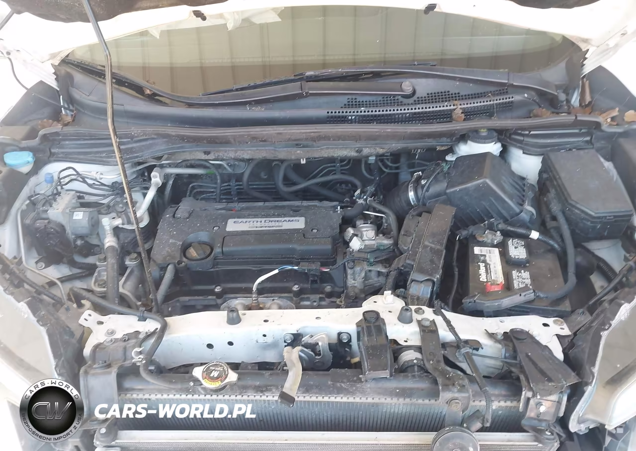 2015 Honda Cr-V Lx VIN:5J6RM3H39FL011169 - 10