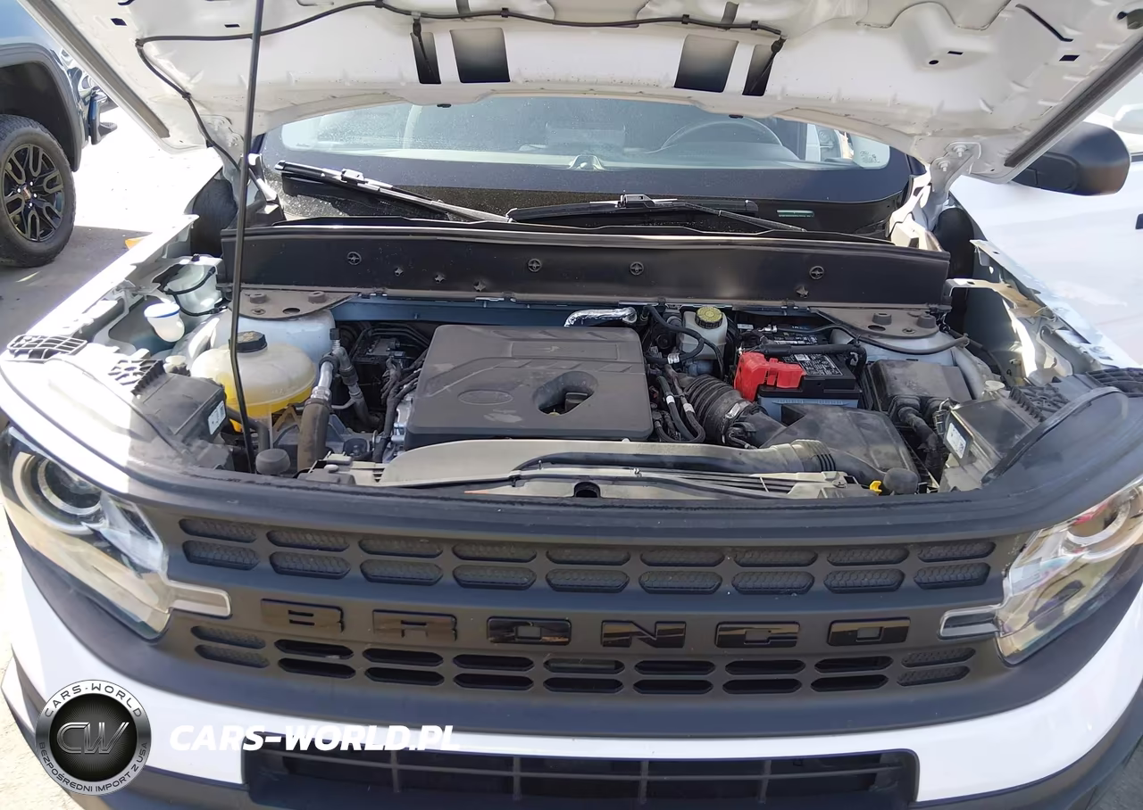 2021 Ford Bronco Sport VIN:3FMCR9A69MRA79339 - 10