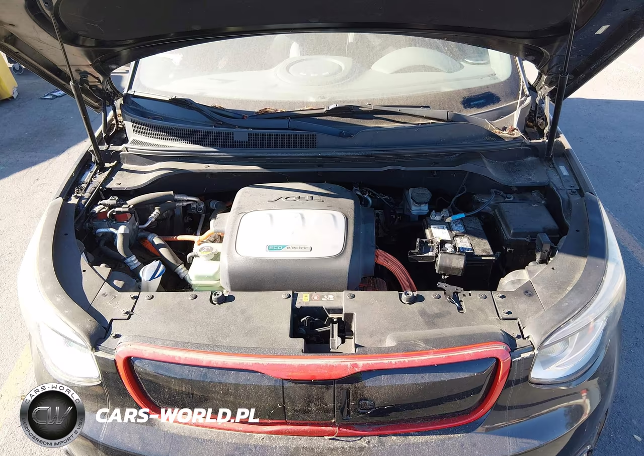 2015 Kia Soul Ev + VIN:KNDJX3AE9F7002891 - 10