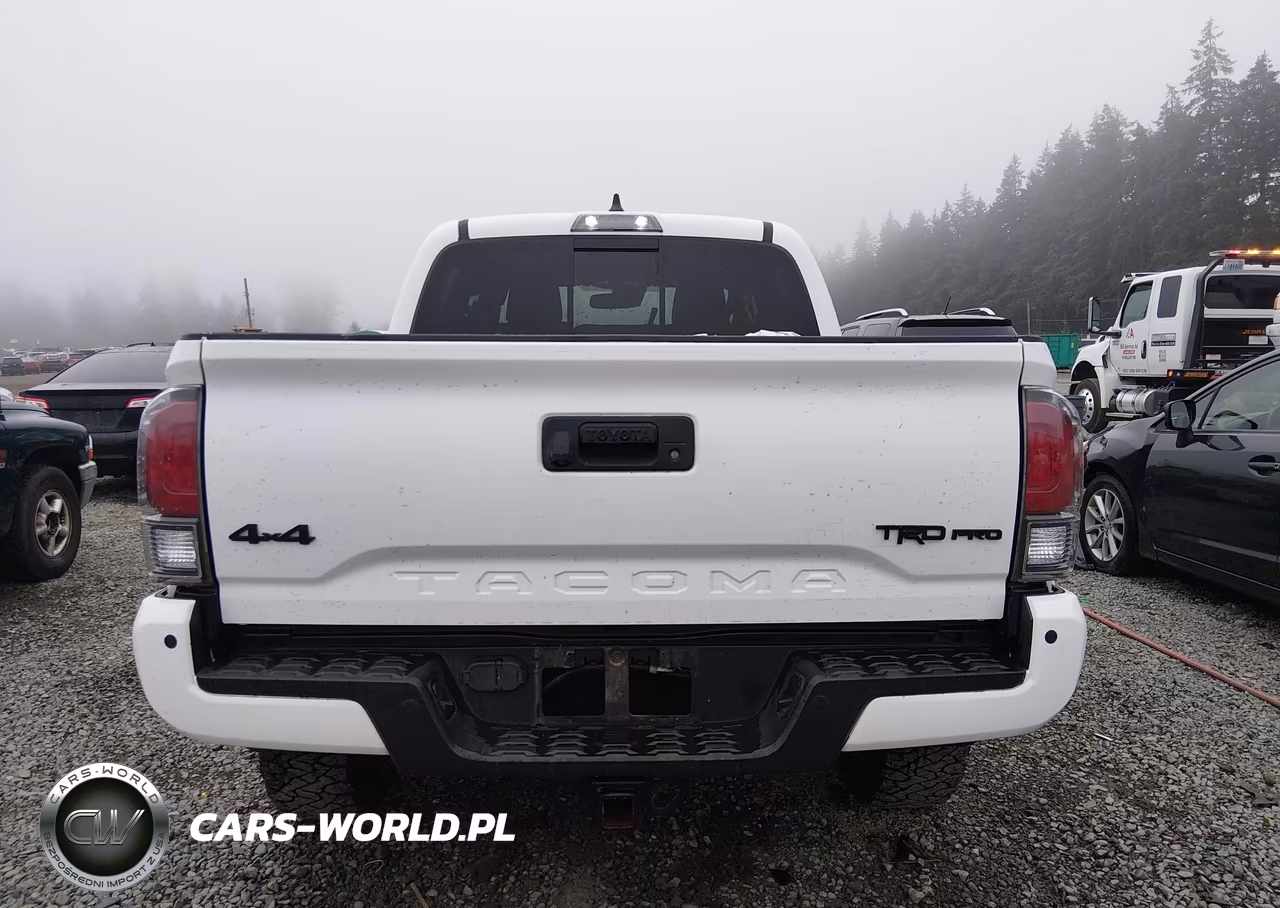 2023 Toyota Tacoma Trd Pro VIN:3TYCZ5AN9PT117405 - 17