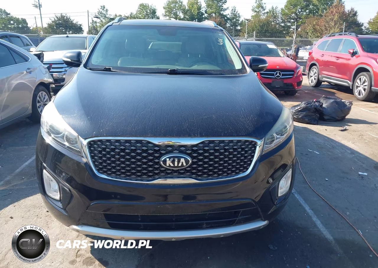 2016 Kia Sorento 3.3L Sx VIN:5XYPK4A59GG031990 - 12