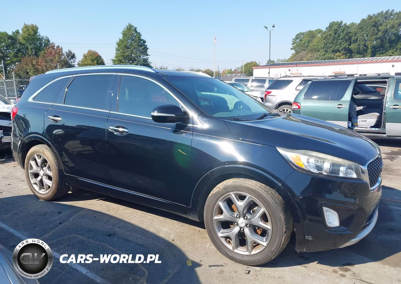 2016 Kia Sorento 3.3L Sx VIN:5XYPK4A59GG031990 - 13