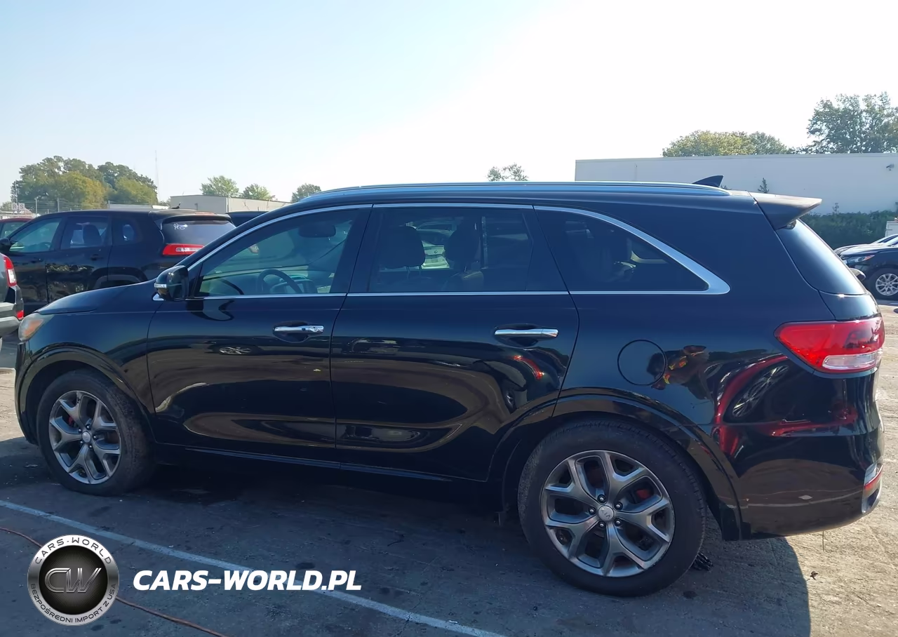 2016 Kia Sorento 3.3L Sx VIN:5XYPK4A59GG031990 - 14