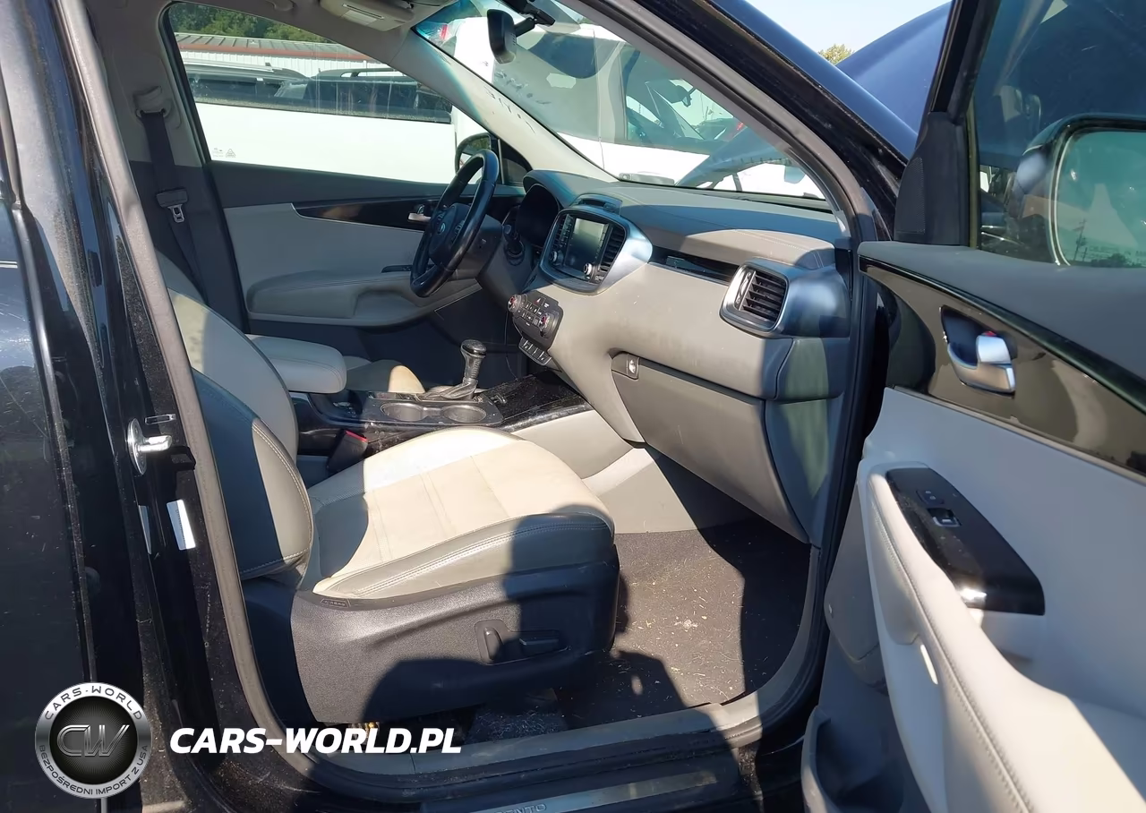 2016 Kia Sorento 3.3L Sx VIN:5XYPK4A59GG031990 - 5