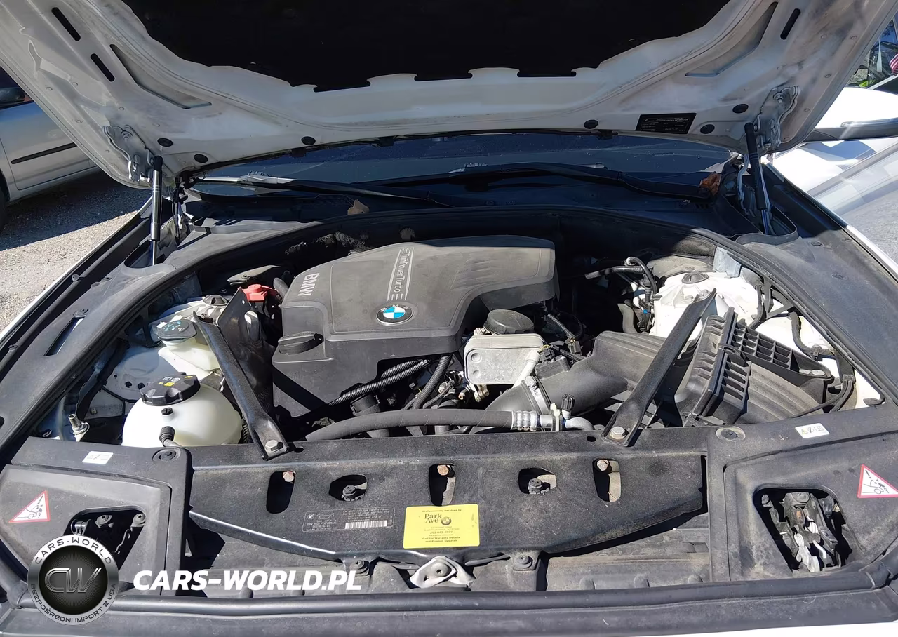 2014 BMW 528I xDrive VIN:WBA5A7C53ED612998 - 10