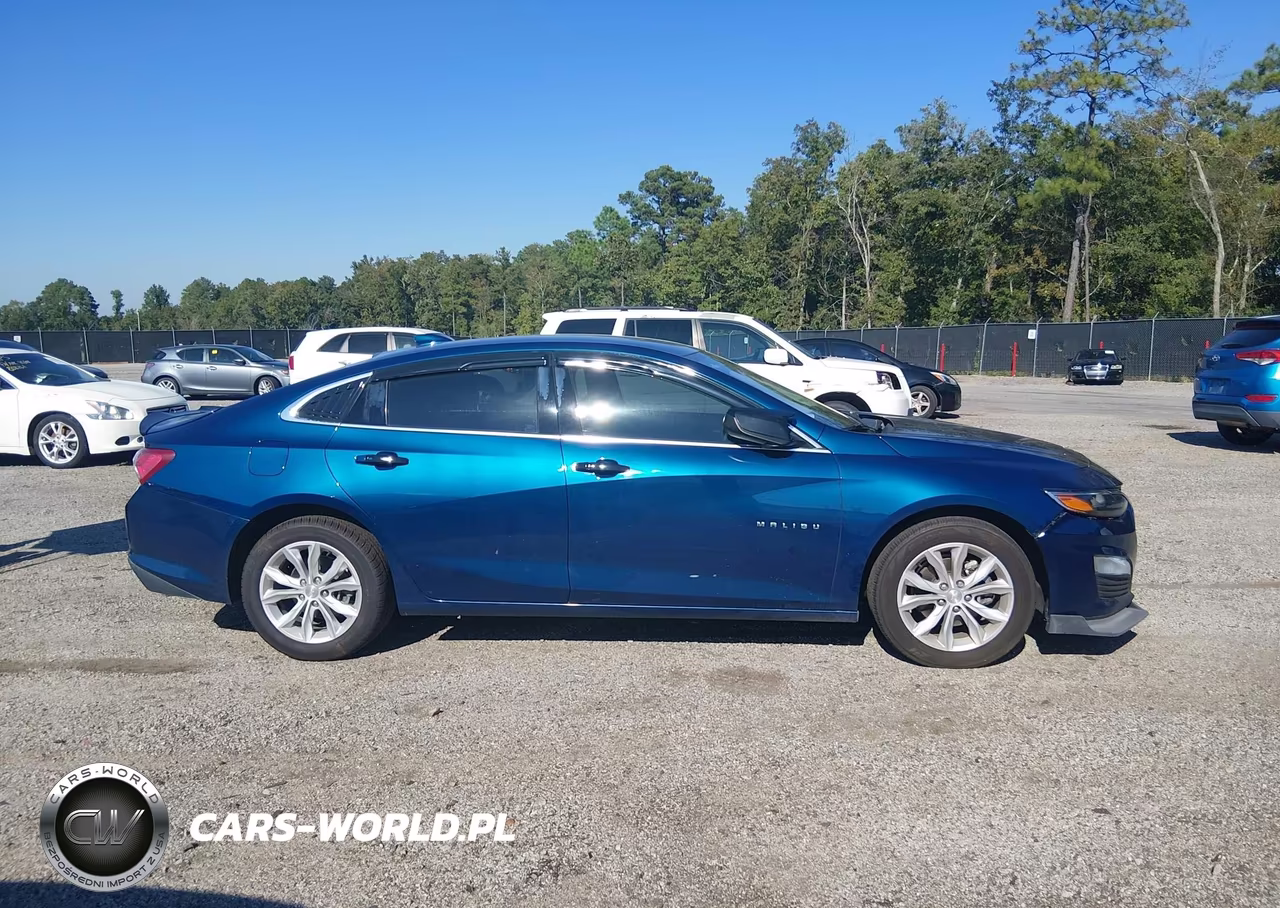 2019 Chevrolet Malibu Lt VIN:1G1ZD5ST5KF191732 - 13