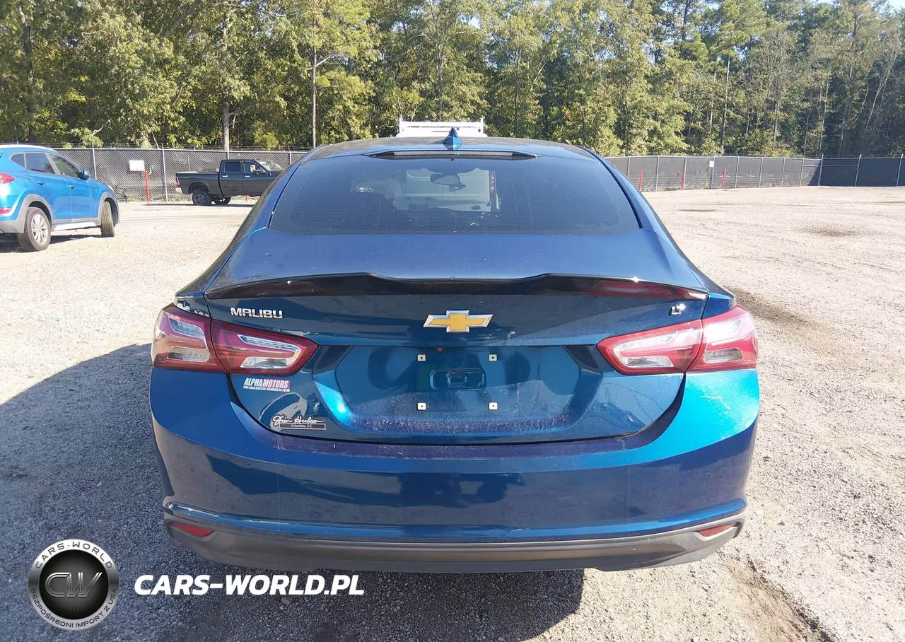 2019 Chevrolet Malibu Lt VIN:1G1ZD5ST5KF191732 - 16