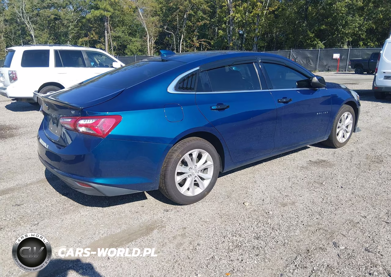2019 Chevrolet Malibu Lt VIN:1G1ZD5ST5KF191732 - 4
