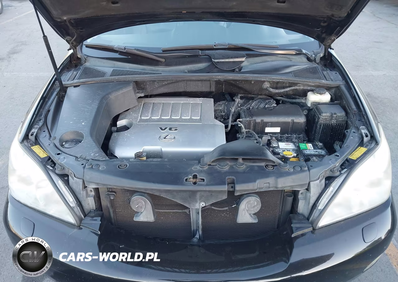 2009 Lexus Rx 350 VIN:2T2HK31U89C116741 - 10