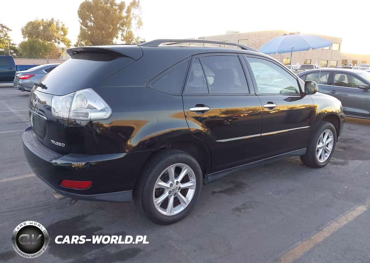 2009 Lexus Rx 350 VIN:2T2HK31U89C116741 - 4