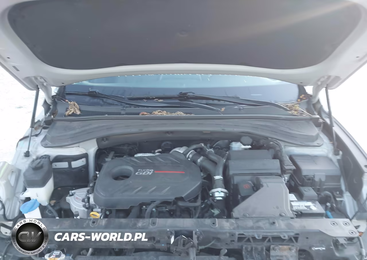 2020 Hyundai Santa Fe Sel 2.0T VIN:5NMS3CAA8LH276942 - 10