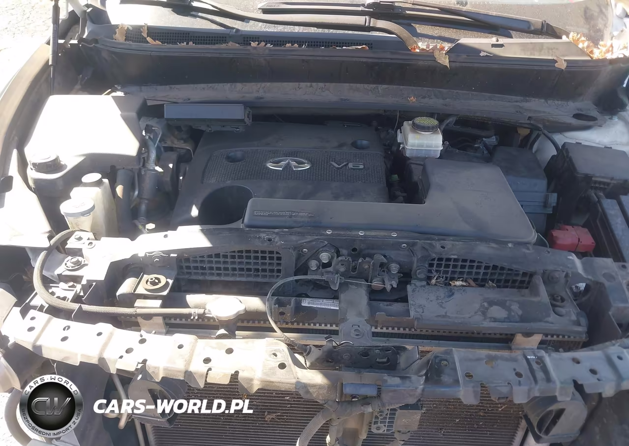 2015 Infiniti Qx60 VIN:5N1AL0MM2FC512211 - 10