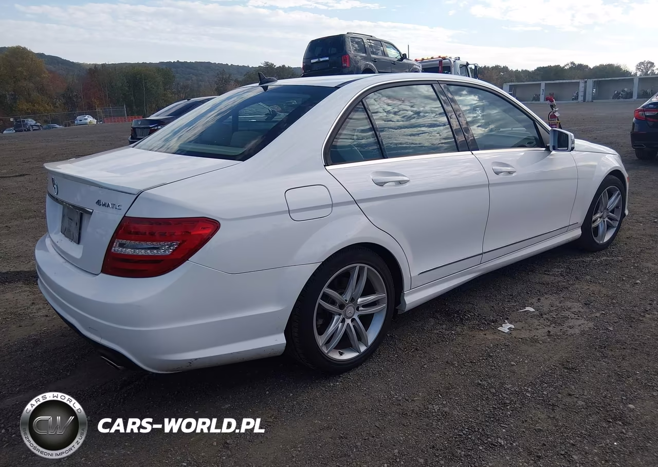2014 Mercedes-Benz C 300 Sport 4Matic VIN:WDDGF8AB9EG157784 - 4