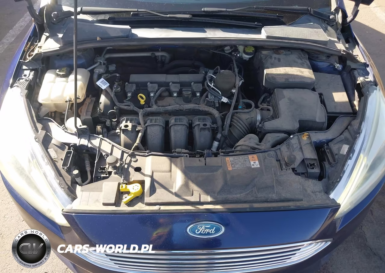 2016 Ford Focus Titanium VIN:1FADP3N20GL321477 - 10