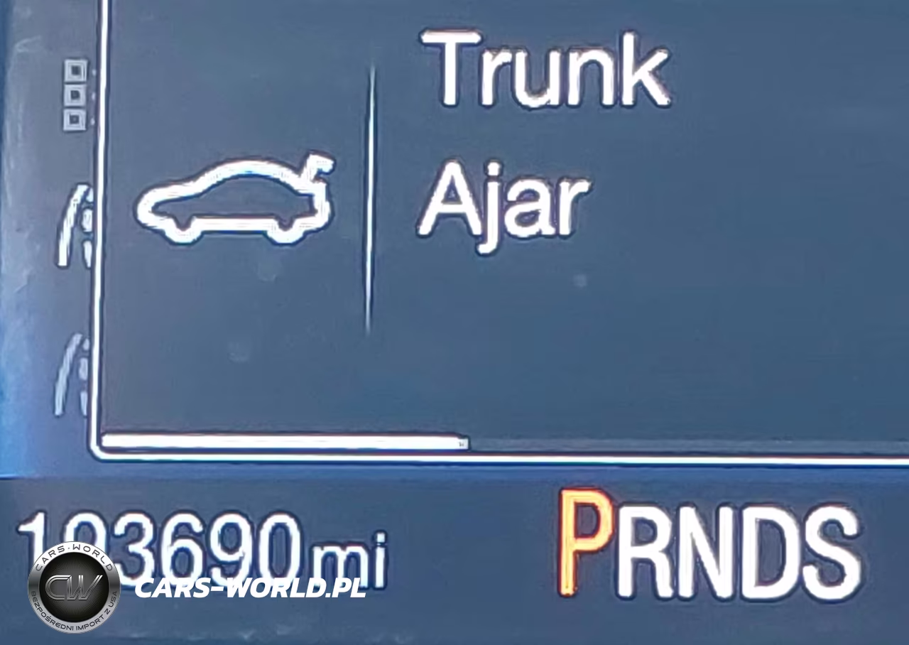 2016 Ford Focus Titanium VIN:1FADP3N20GL321477 - 16