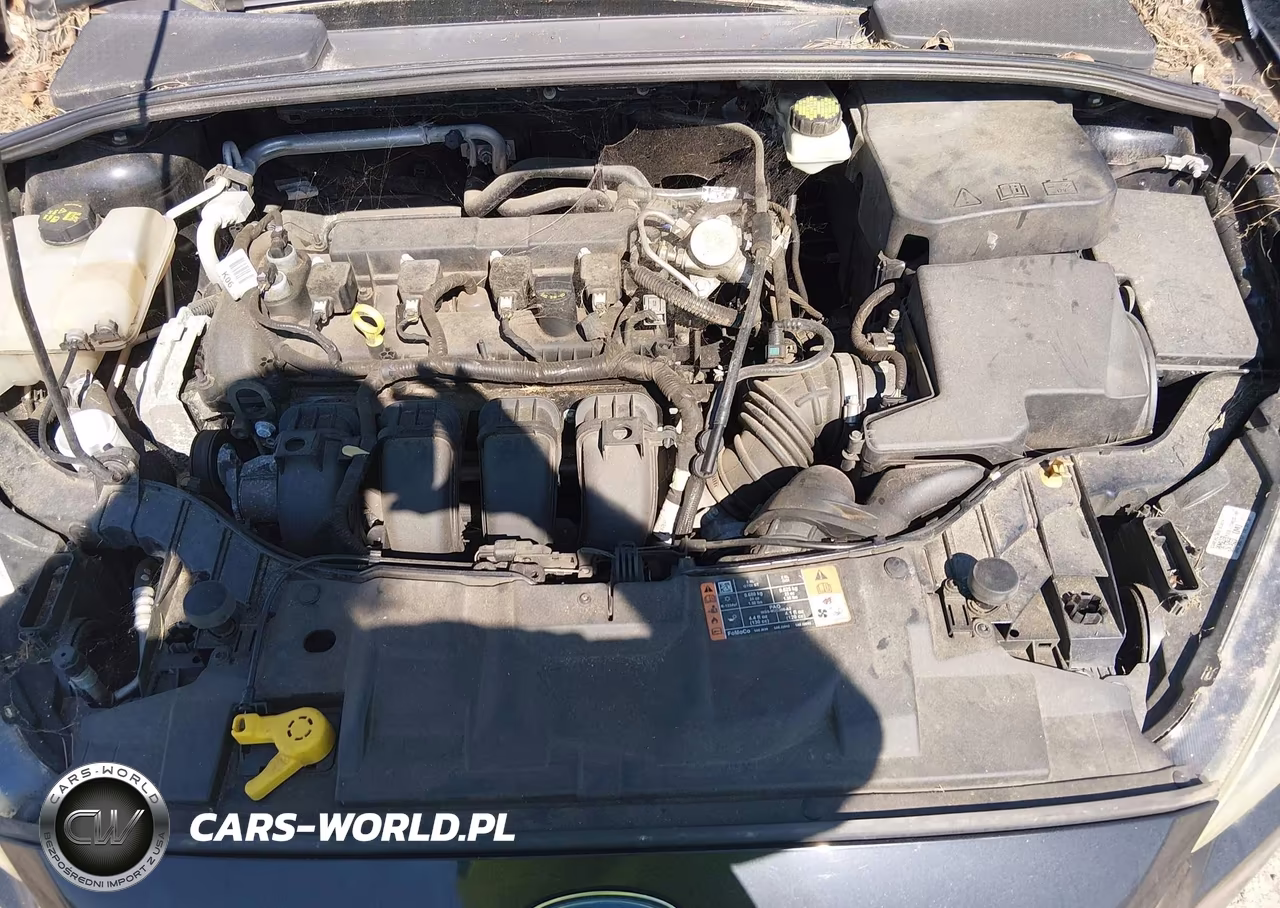 2017 Ford Focus Sel VIN:1FADP3H29HL294079 - 10