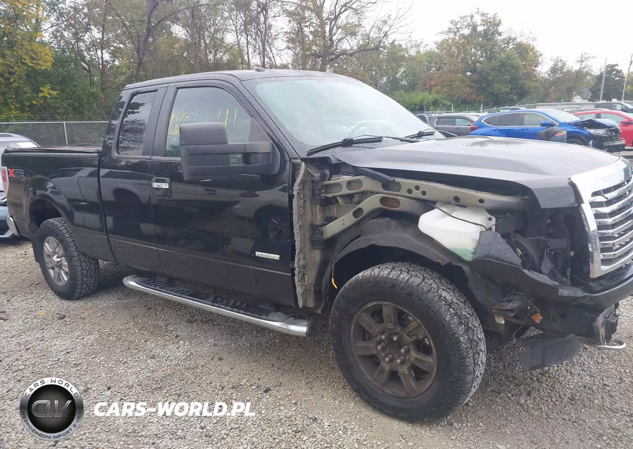2011 Ford F-150 Xlt VIN:1FTFX1ETXBFA89249 - 13