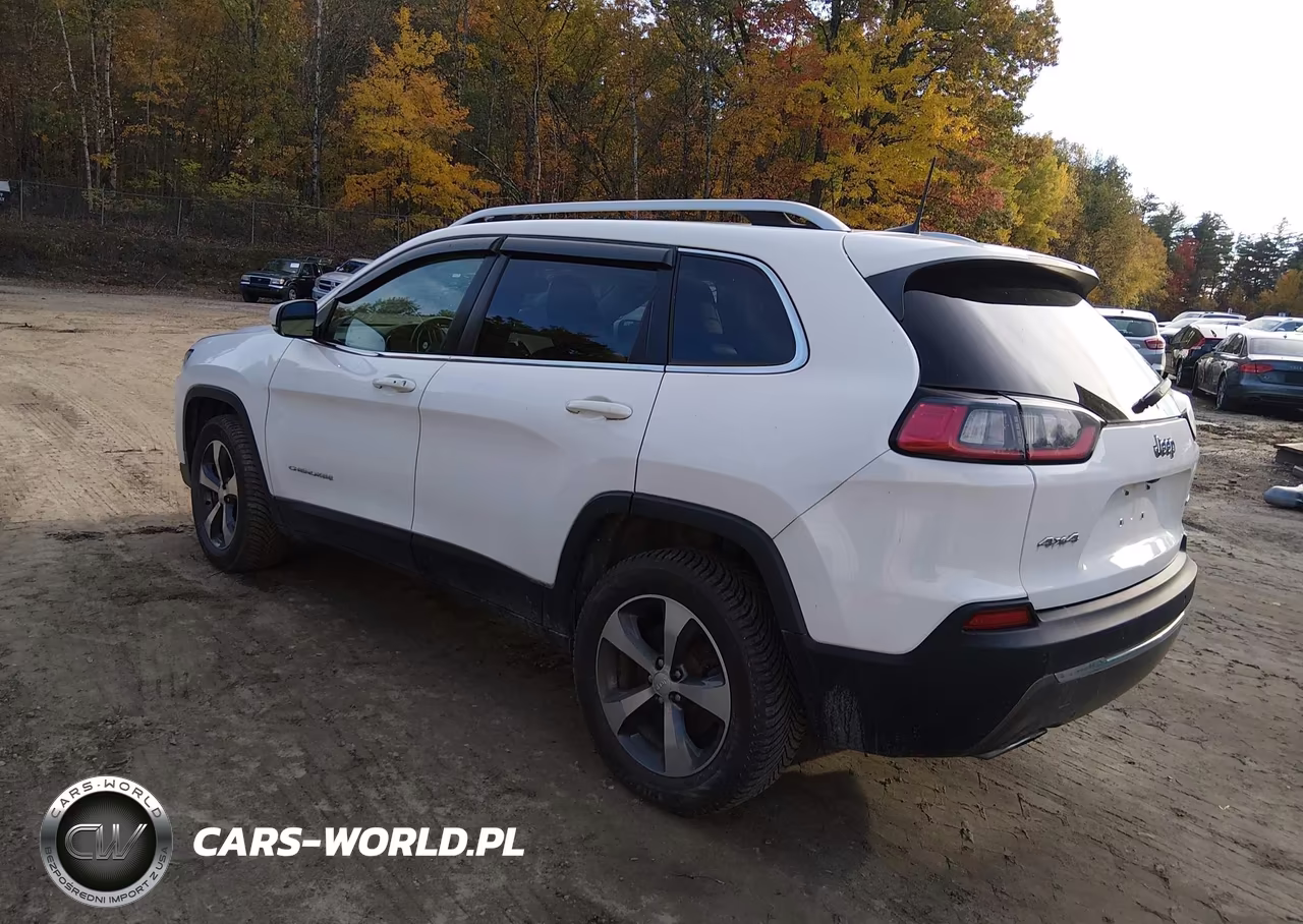 2019 Jeep Cherokee Limited 4X4 VIN:1C4PJMDN7KD224497 - 3