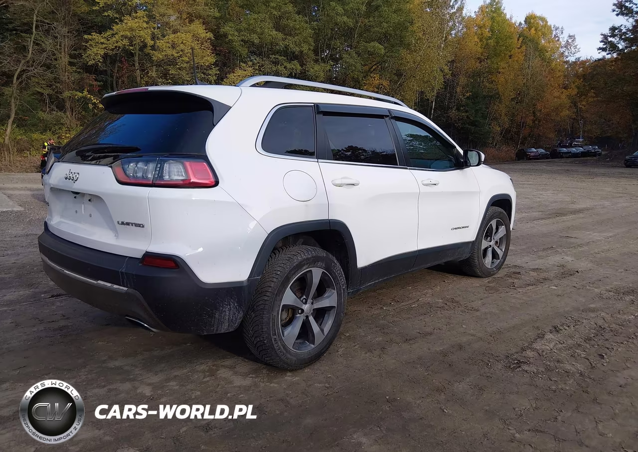 2019 Jeep Cherokee Limited 4X4 VIN:1C4PJMDN7KD224497 - 4