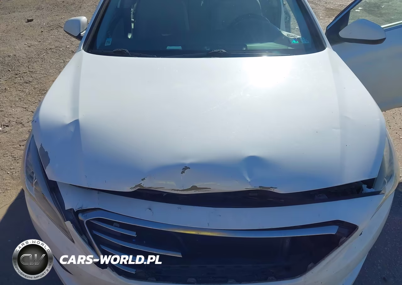 2016 Hyundai Sonata Se VIN:5NPE24AF8GH319444 - 10