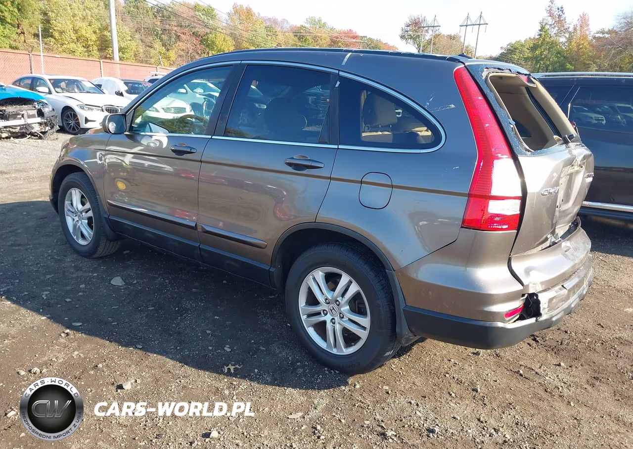 2010 Honda Cr-V Ex-L VIN:5J6RE4H79AL034448 - 3
