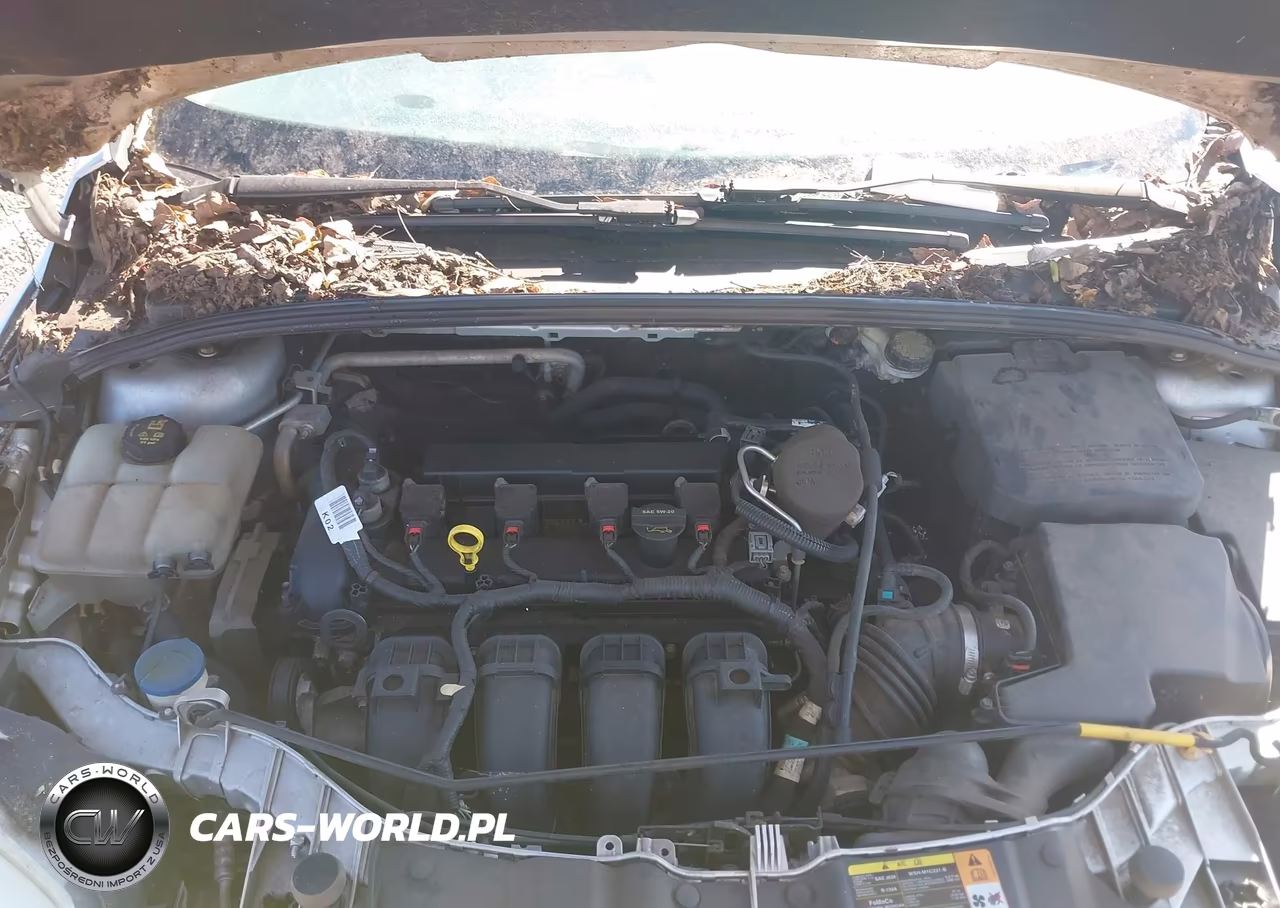 2014 Ford Focus Se VIN:1FADP3K20EL186678 - 10