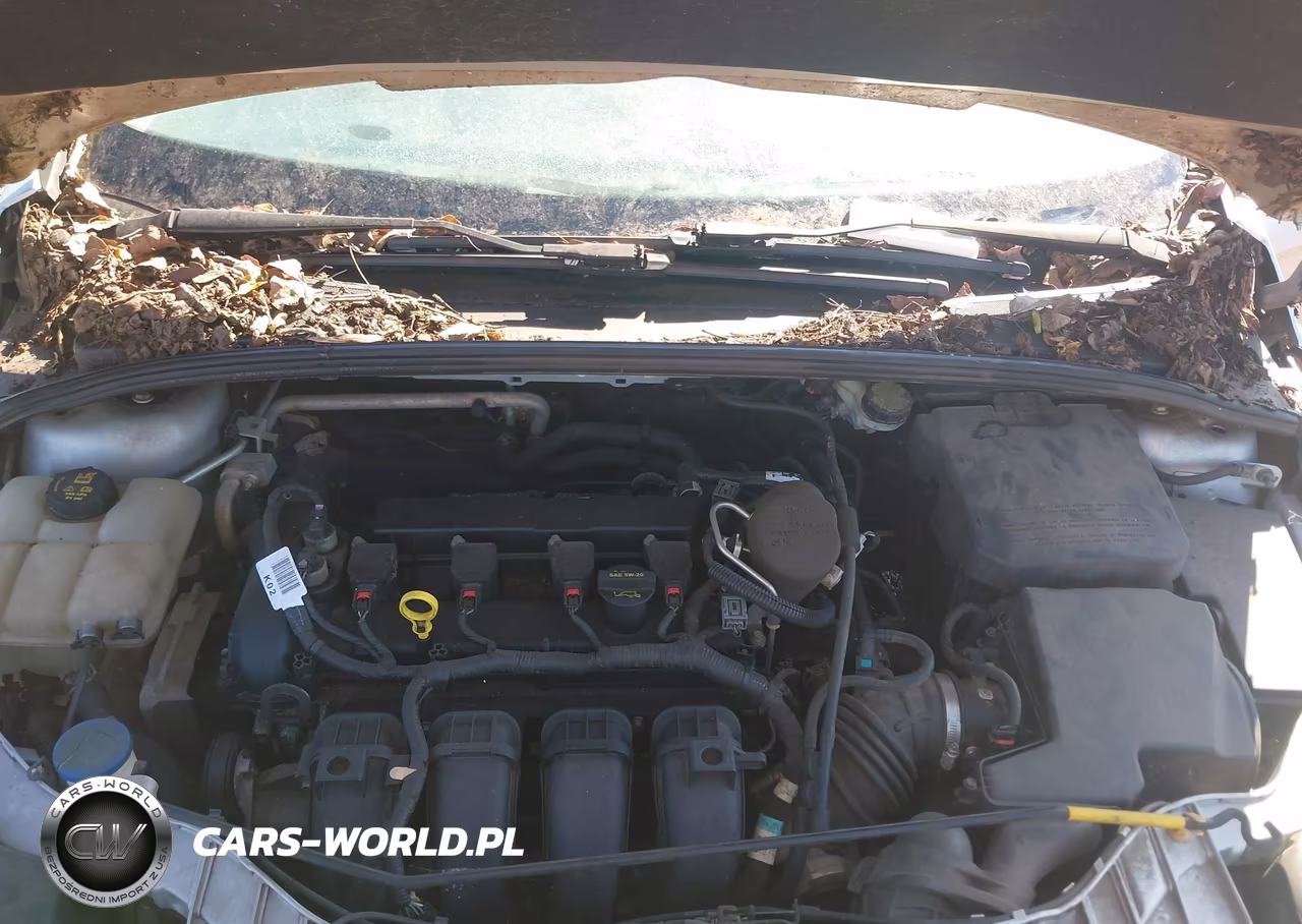 2014 Ford Focus Se VIN:1FADP3K20EL186678 - 6