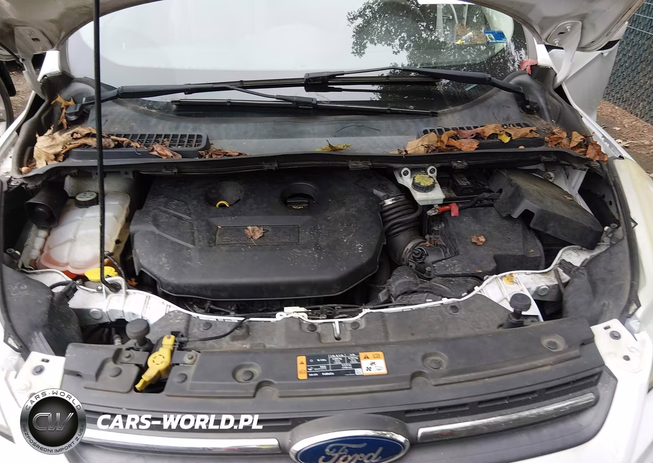2016 Ford Escape Se VIN:1FMCU9G98GUB16345 - 10