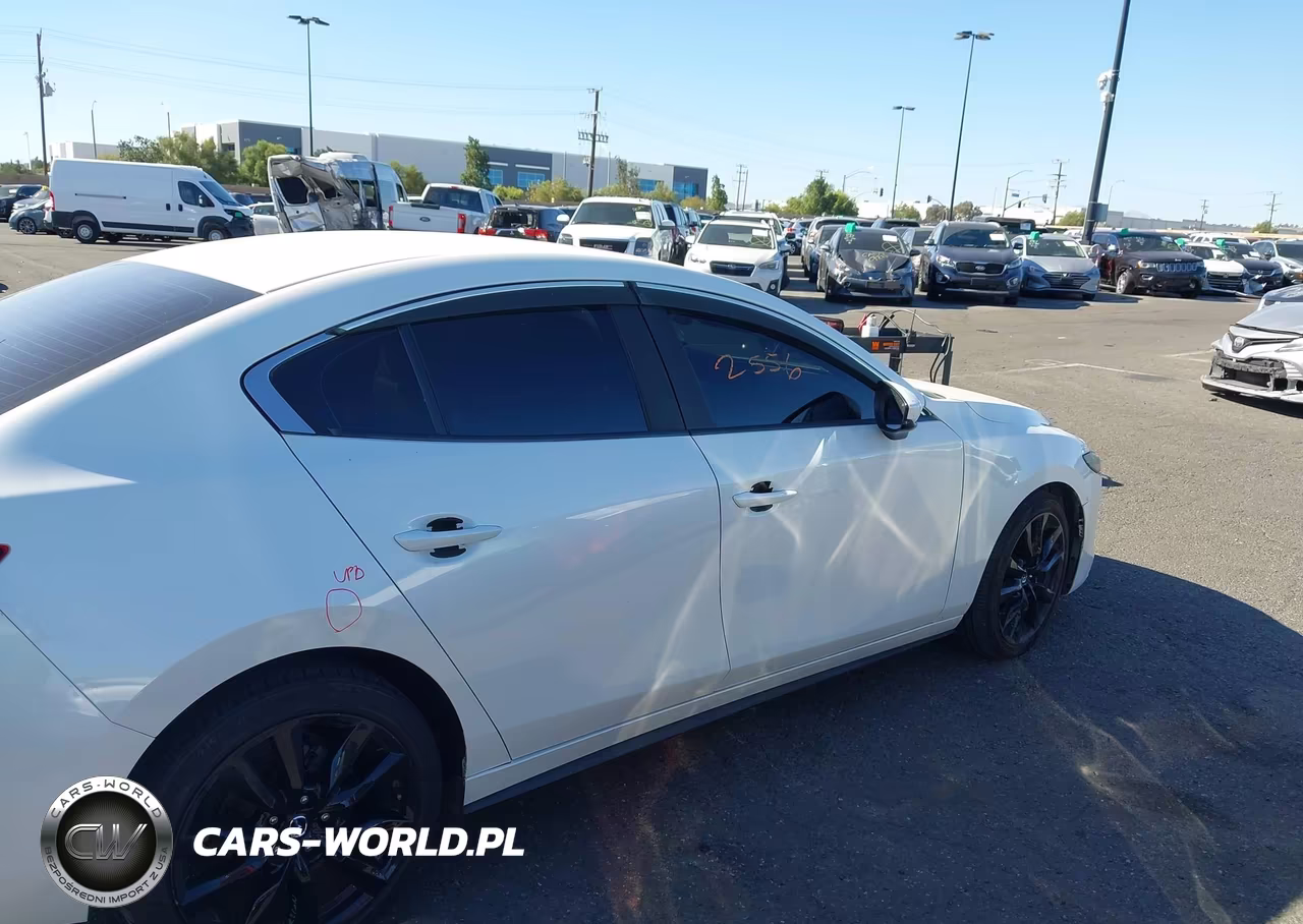 2019 Mazda Mazda3 Select Package VIN:JM1BPACLXK1114066 - 13