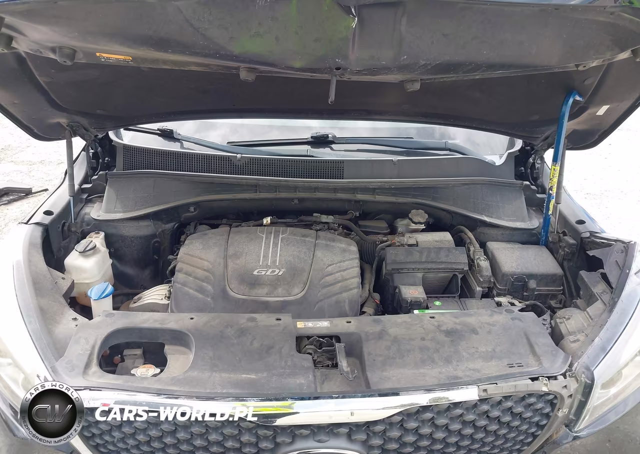 2016 Kia Sorento 3.3L Lx VIN:5XYPGDA5XGG111719 - 10