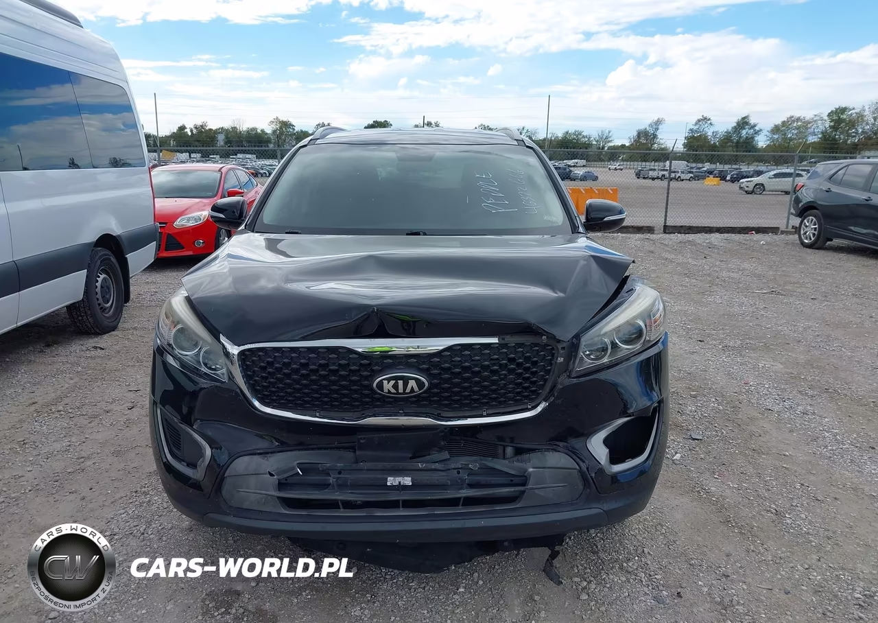 2016 Kia Sorento 3.3L Lx VIN:5XYPGDA5XGG111719 - 13