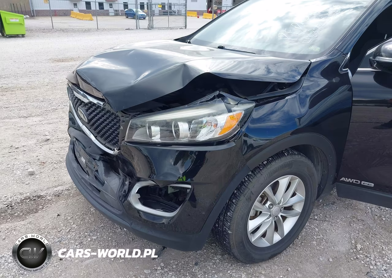 2016 Kia Sorento 3.3L Lx VIN:5XYPGDA5XGG111719 - 18