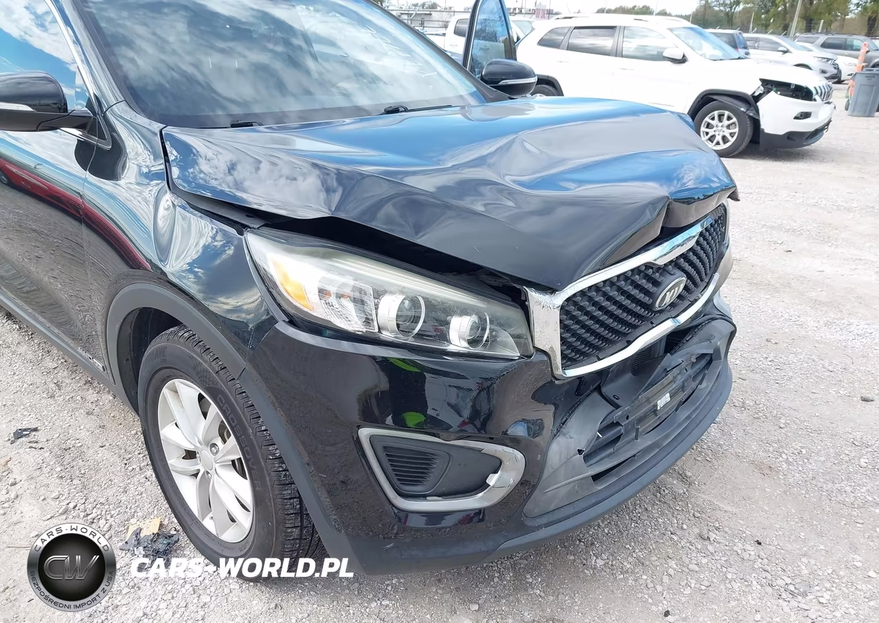 2016 Kia Sorento 3.3L Lx VIN:5XYPGDA5XGG111719 - 19