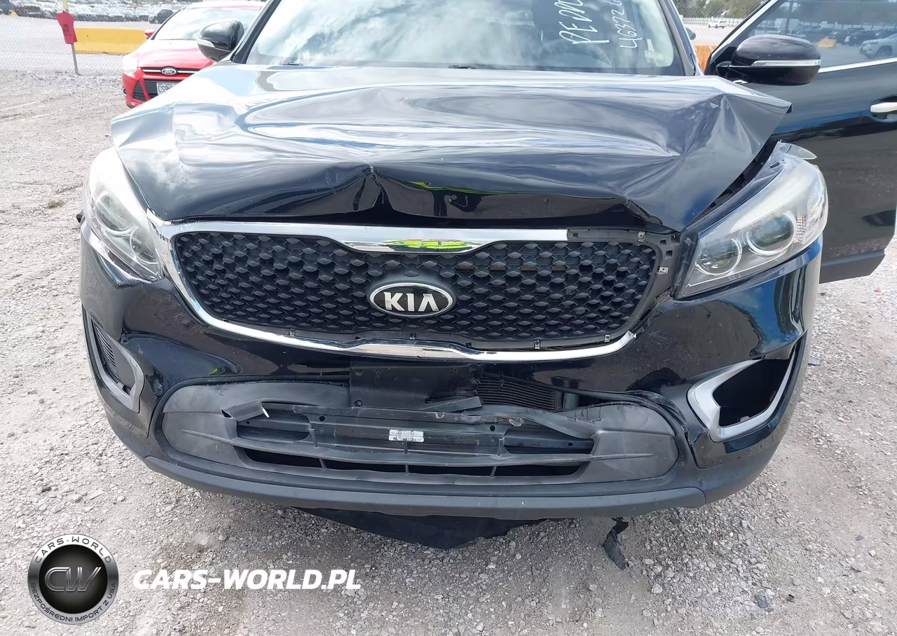 2016 Kia Sorento 3.3L Lx VIN:5XYPGDA5XGG111719 - 6