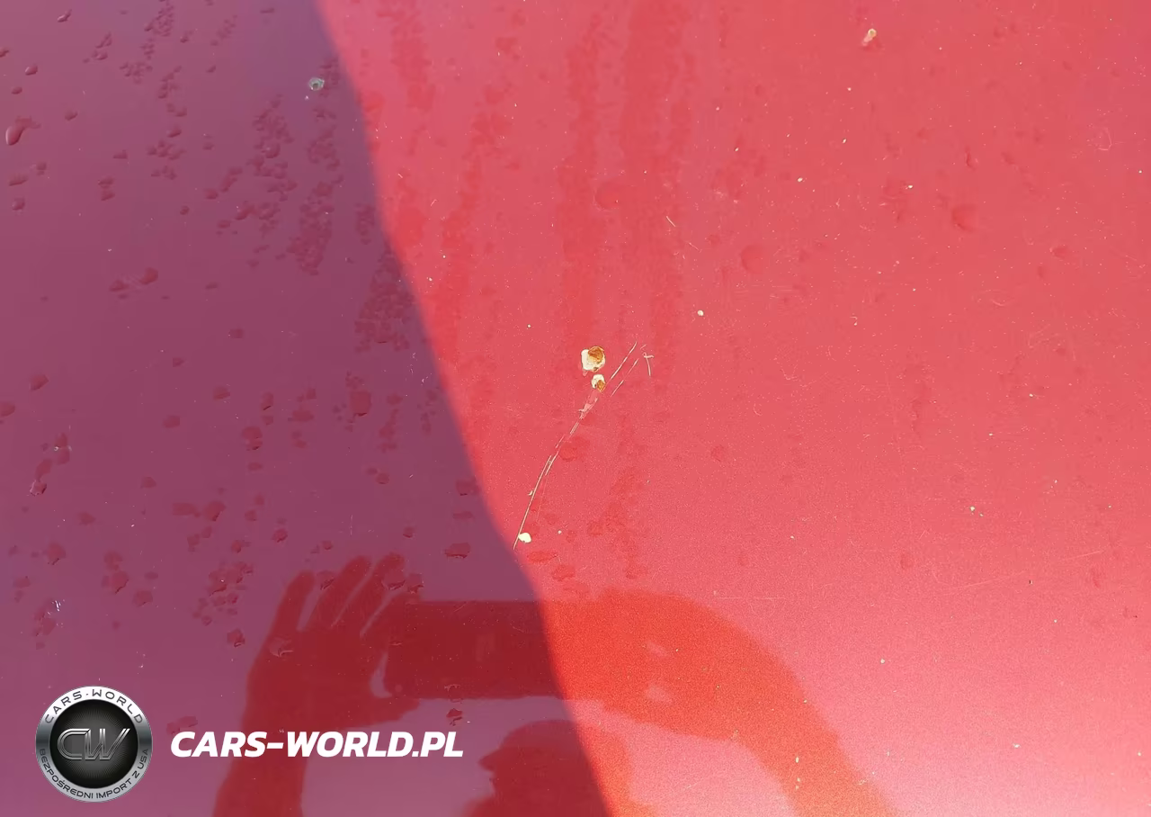 2011 Volkswagen Tiguan Sel VIN:WVGBV7AX0BW000249 - 15