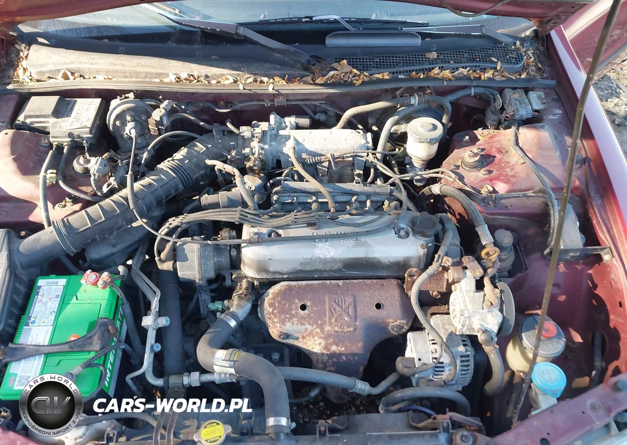 1995 Honda Accord Lx VIN:1HGCD7233SA023059 - 10