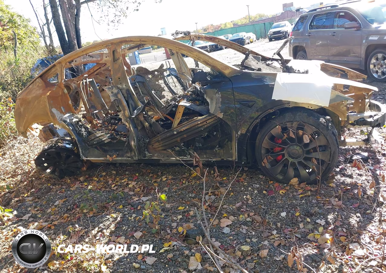 2023 Tesla Model Y Performance Dual Motor All-Wheel Drive VIN:7SAYGDEF3PF938401 - 4