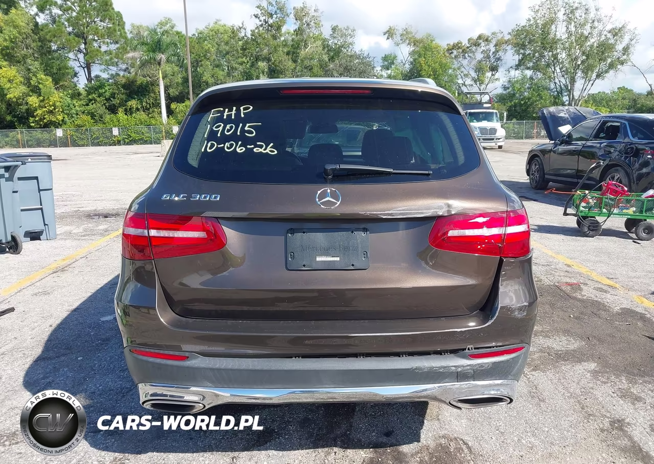 2016 Mercedes-Benz Glc 300 VIN:WDC0G4JB3GF107077 - 16