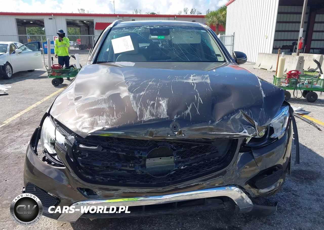 2016 Mercedes-Benz Glc 300 VIN:WDC0G4JB3GF107077 - 18