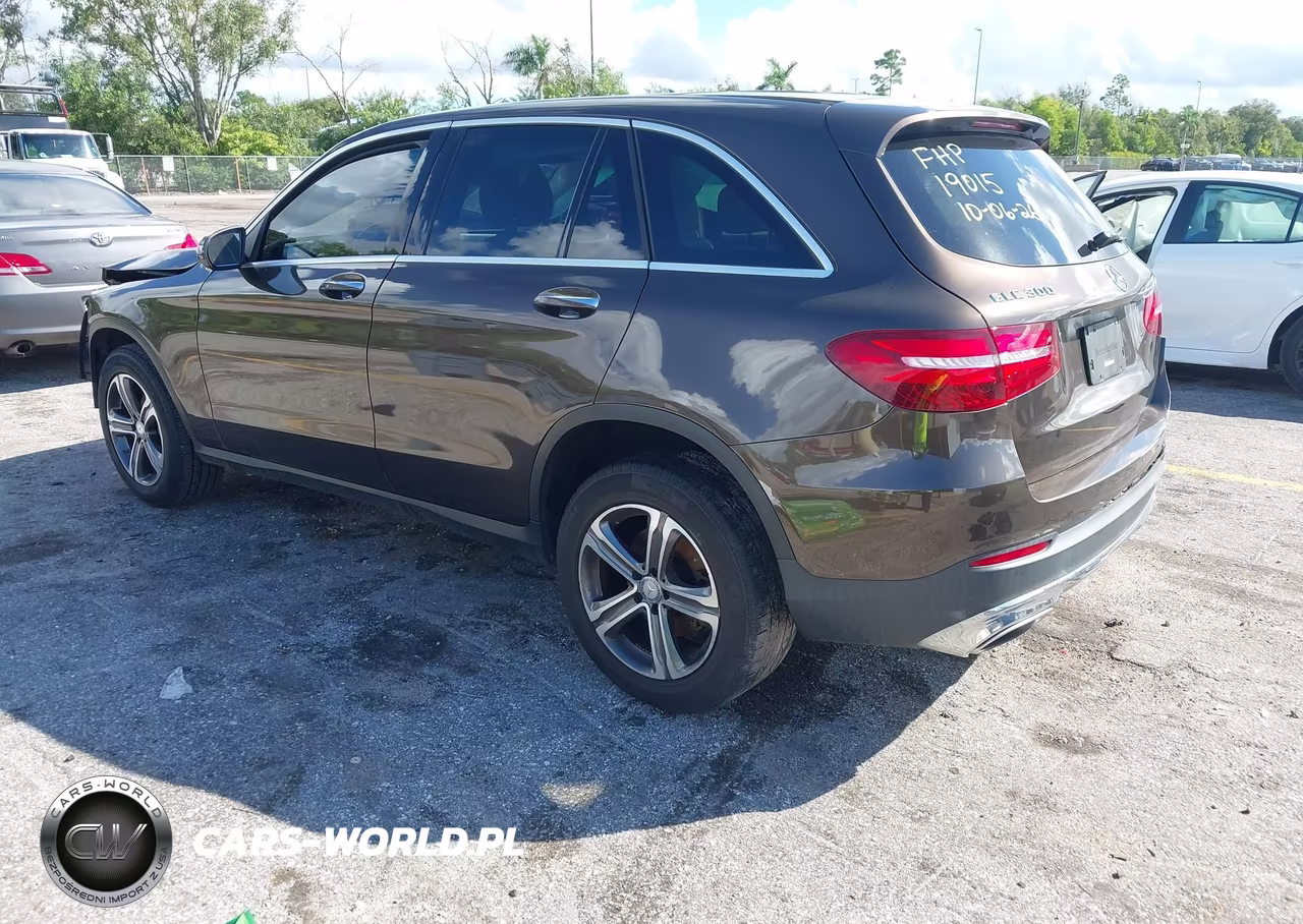 2016 Mercedes-Benz Glc 300 VIN:WDC0G4JB3GF107077 - 3
